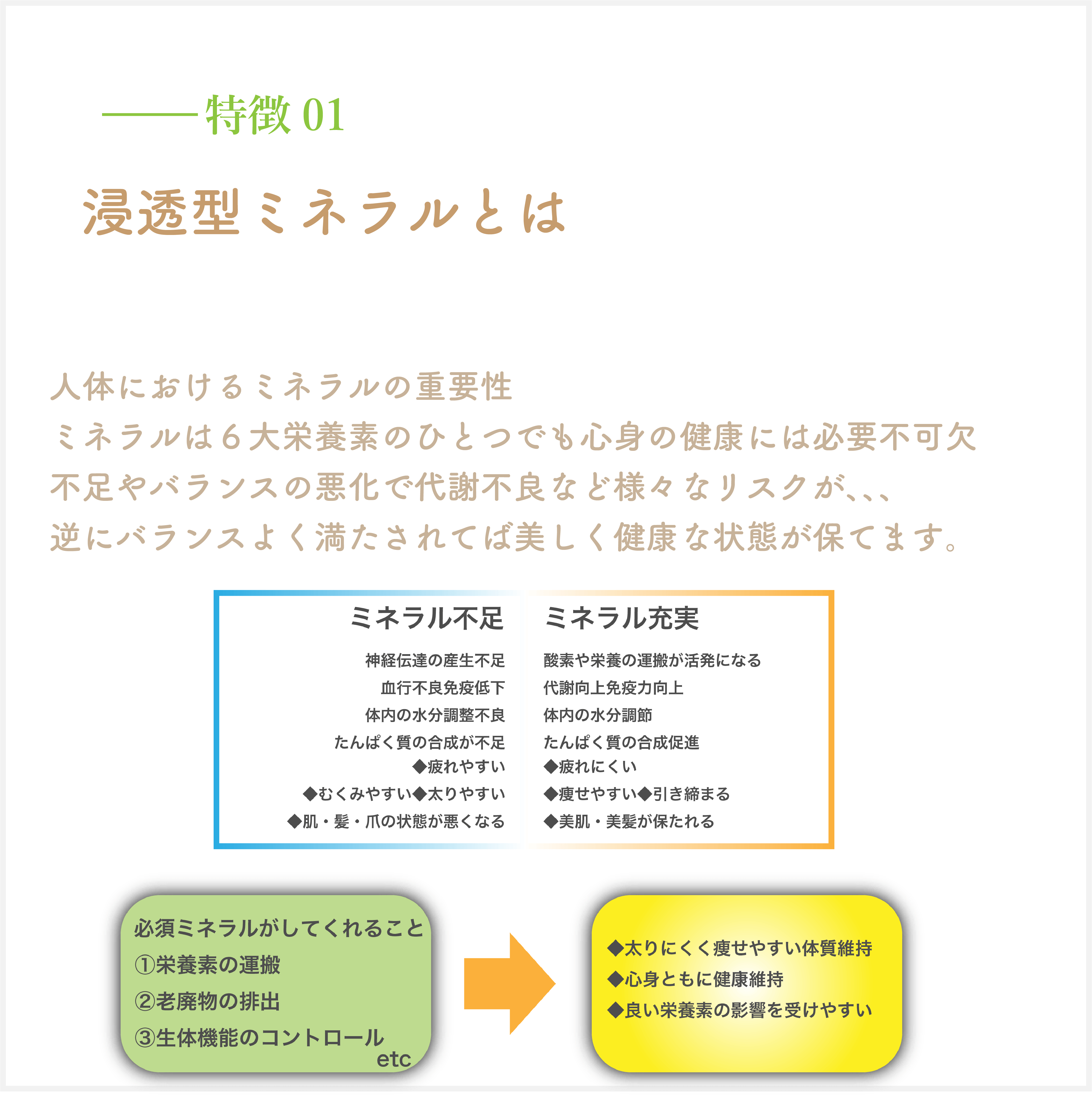 アセット 16BDS 特徴０１