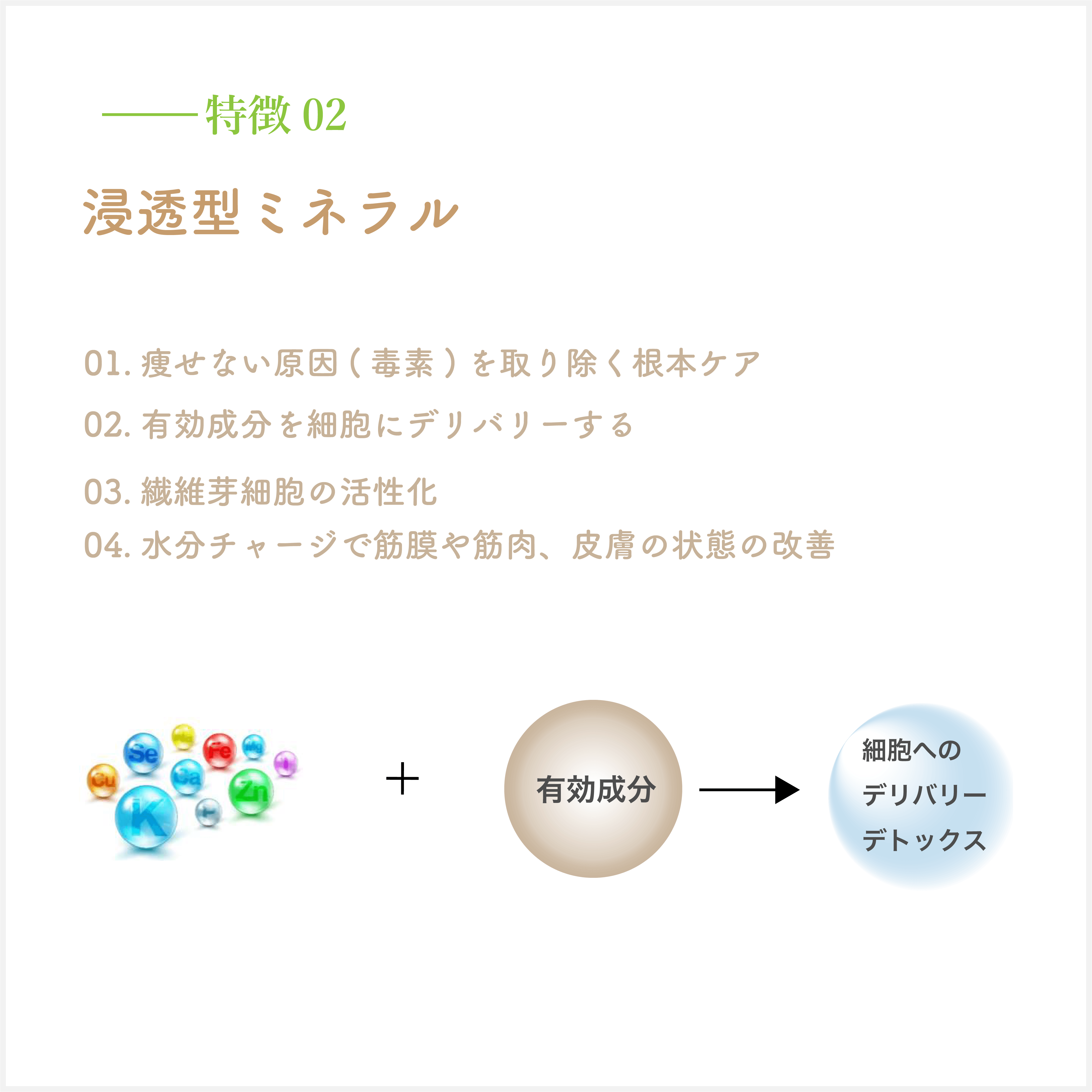 アセット 17BDS 特徴０２